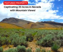 Captivating 20 Acres in Nevada with Mountain Views!