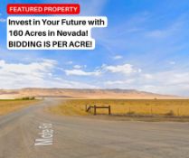 Invest in Your Future with 160 Acres in Nevada! BIDDING IS PER ACRE!