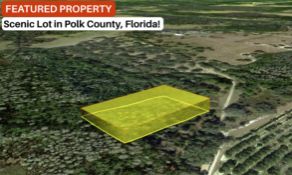 Wooded Lot in Scenic Polk County, Florida!