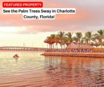 See the Palm Trees Sway in Charlotte County, Florida!