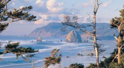 Invest in Land for Stability!