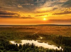 Your View Overlooking Michigan's Deer Lake!