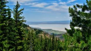 Corner Lot to Build on in Northern California!