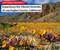 Experience the Vibrant Diversity of Los Angles County, California!