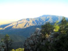 Great Investment Near Manzano Mountains in Valencia County, New Mexico!