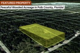 Peaceful Wooded Acreage in Polk County, Florida!