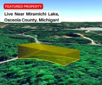 Live Near Miramichi Lake, Osceola County, Michigan!