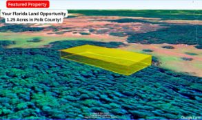 Your Florida Land Opportunity: 1.25 Acres in Polk County!
