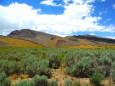 Investor Opportunity: Over 40 Nevada Acres!