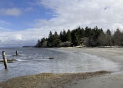 Invest in the Pacific Northwest: Affordable Coastal Land in WA!