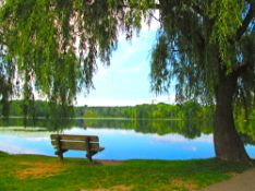 Relax & Revive Your Soul in Cherokee Village, Arkansas!