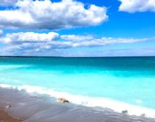 Escape to Michigan's Fabulous Presque Isle Harbor!