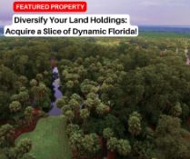 Diversify Your Land Holdings: Acquire a Slice of Dynamic Florida!