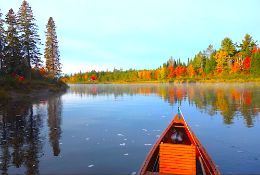 Osceola County, Michigan: Wooded Lot near Lake Miramichi!