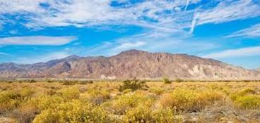 40 Acres in Bent County, Colorado!