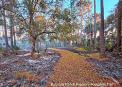 Near Florida's Babcock Ranch Preserve!