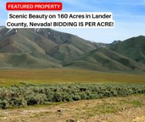 Scenic Beauty on 160 Acres in Lander County, Nevada! BIDDING IS PER ACRE!