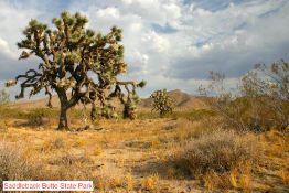 Own Land in Vibrant Los Angeles County, California!