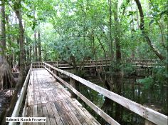 Enjoy the Outdoors in Sunny Charlotte County, Florida!