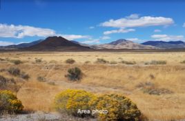 40 Rugged Acres in Elko County, Nevada!