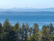 Close to the Coast of Washington State!