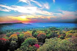 Live in the Enchanting Community of Ozark Acres!