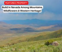 Nevada Lot Among Mountains, Wildflowers & Western Heritage!