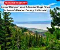 Live or Camp on Your 2 Acres of Huge Pines in Peaceful Modoc County, California!