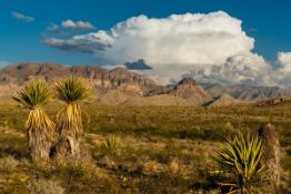 20-Acre Off-Grid West Texas Investment!