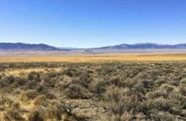 Get Back to Nature in Elko County, Nevada!
