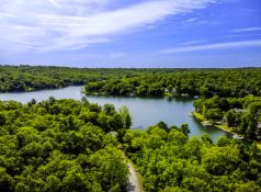 Own a Peaceful Wooded Retreat in Cherokee Village, Arkansas!