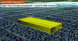 Claim Your Florida Investment: 1-Acre in Polk County!