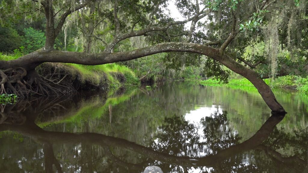 Near the Peace River in Charlotte County, Florida!