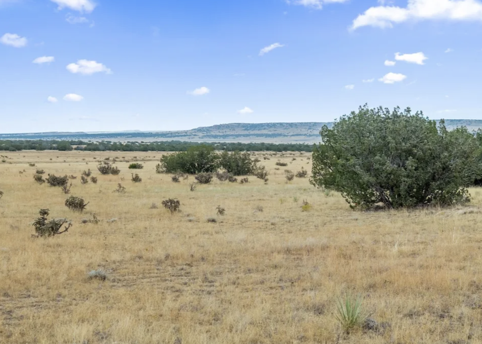 Bent County: 40 Acre Parcel in Southern Colorado!