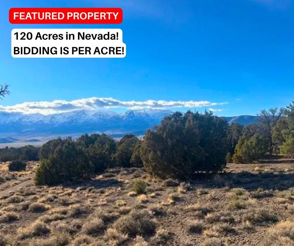 120 Acres in Nevada! BIDDING IS PER ACRE!