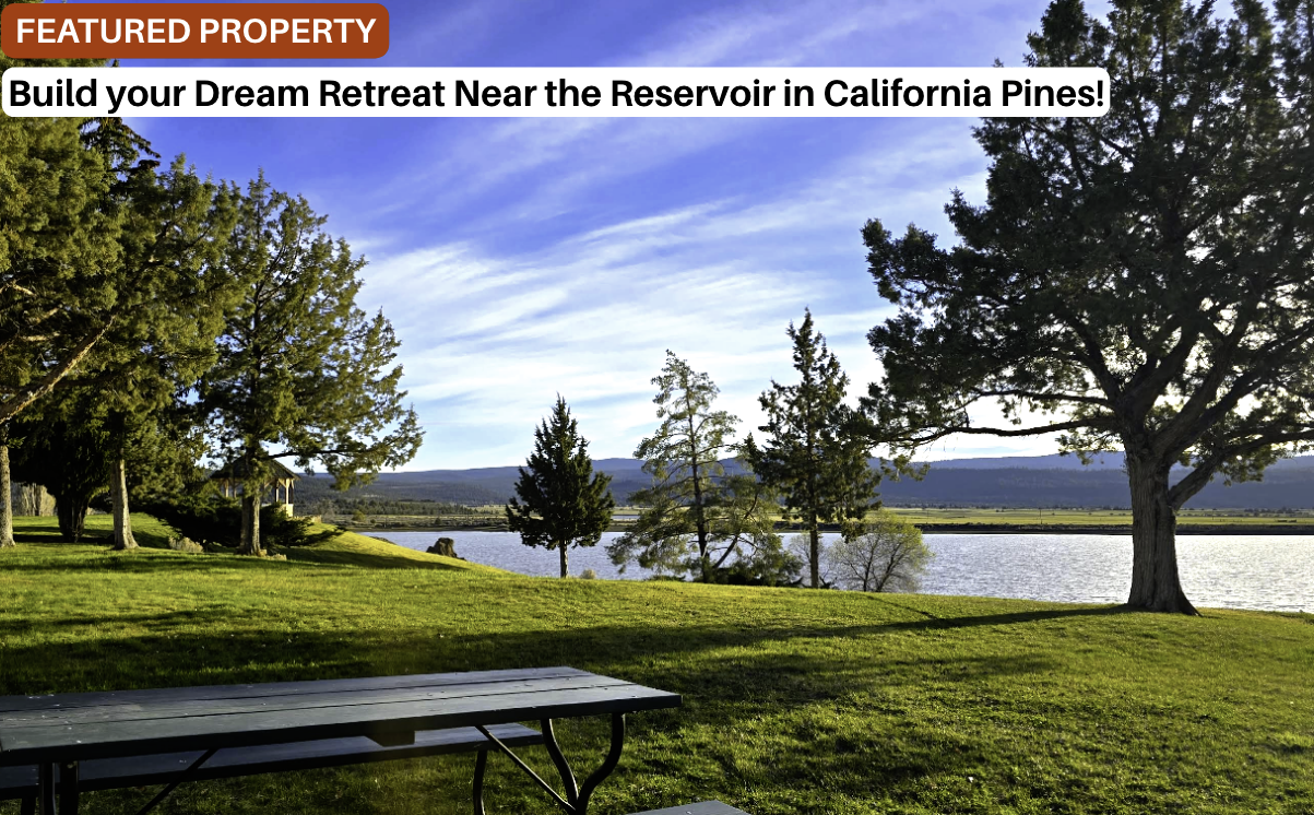 Build your Dream Retreat near the Reservoir in California Pines!