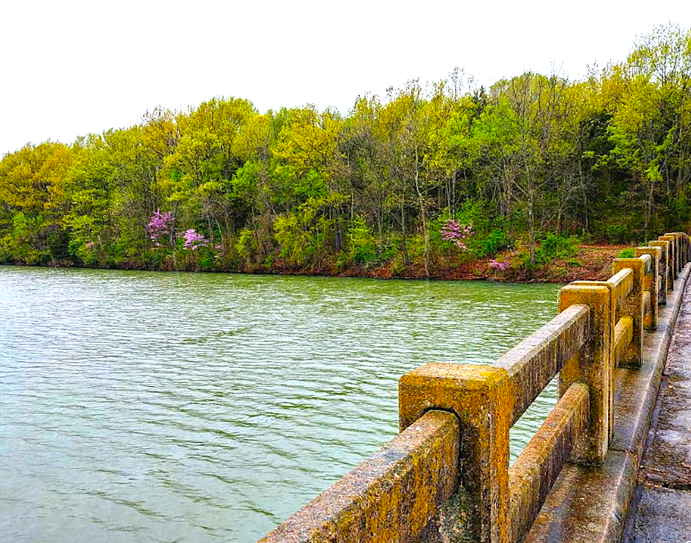 Walk to Lake Sequoyah, Cherokee Village Arkansas!