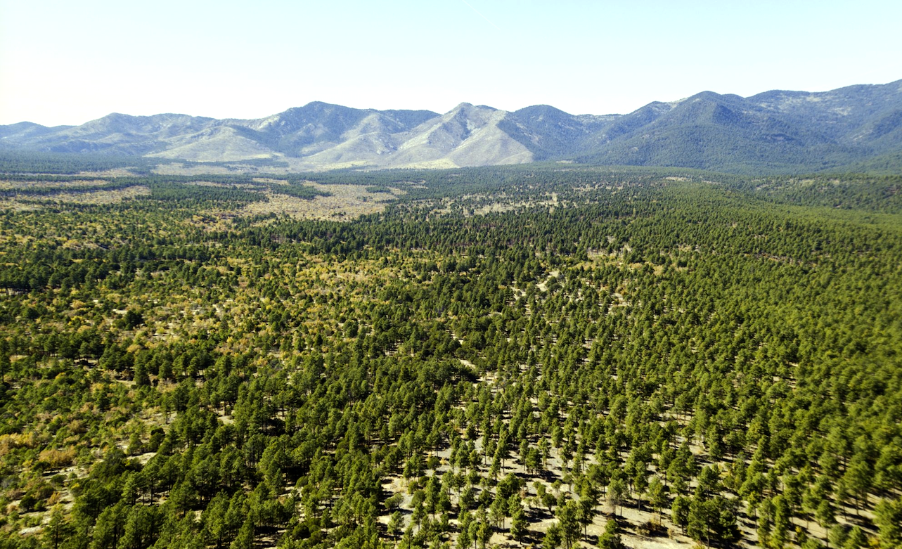 Affordable New Mexico Lot by the Mountains!