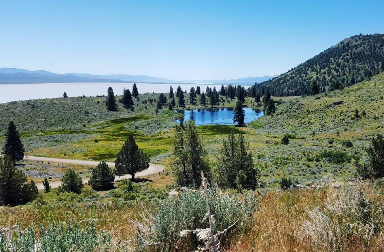 Bid on Land Across America!