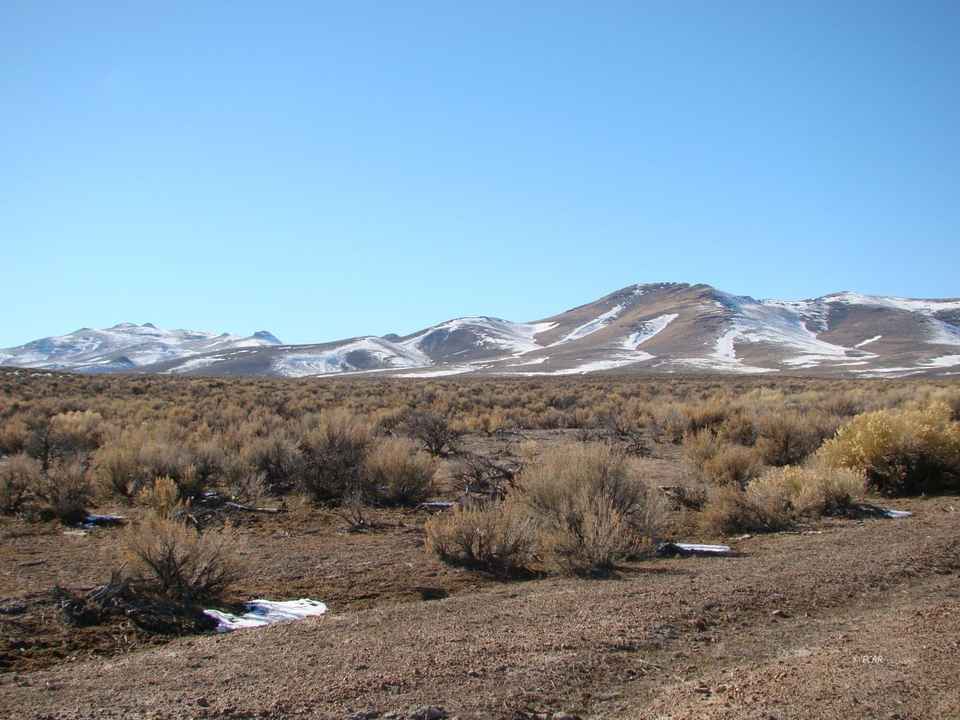 Escape the City to the Elko Co, Nevada Desert!