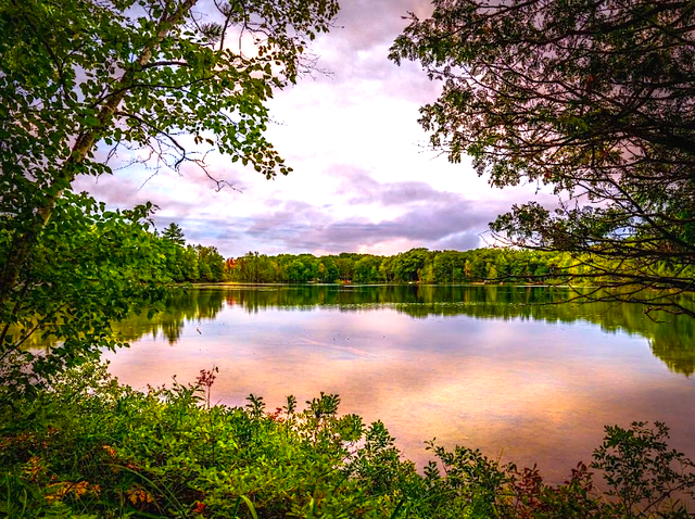 Lake Co, Michigan Lot Surrounded by Great Fishing!