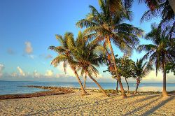 Land Deals from Coast to Coast!