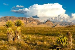 40 Acres of Rugged Natural Beauty in Hudspeth County, Texas!