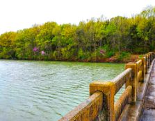 Budget Friendly 0.35 Acre Lot Near Lake in Cherokee Village, Arkansas!