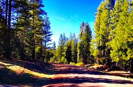 Two Adjacent Lots in Northern California: Build on 2 Acres in Modoc County!