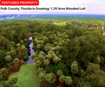 Polk County, Florida is Growing: 1.25 Acre Wooded Lot!