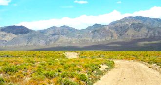 Mountain Views on Nearly 36 Acres in Lander County, Nevada!