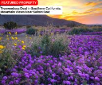 Tremendous Deal in Southern California: Mountain Views Near Salton Sea!