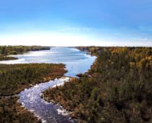 Build in Timberlakes Estates, Alcona County Michigan!