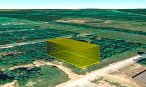 Wooded Lot in Trinity County, Texas!